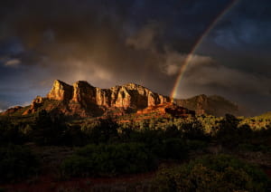 Фото вилл Villas at Poco Diablo - уютные домики в природном стиле